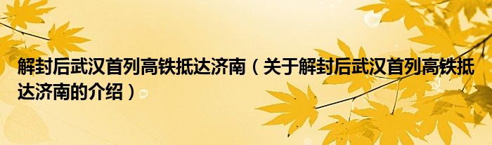 解封后武汉首列高铁抵达济南（关于解封后武汉首列高铁抵达济南的介绍）