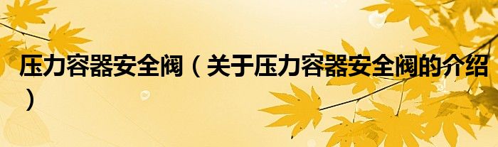 压力容器安全阀（关于压力容器安全阀的介绍）