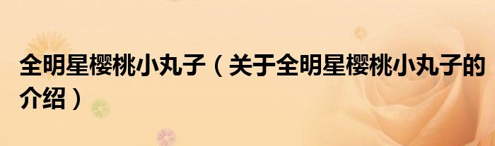 全明星樱桃小丸子（关于全明星樱桃小丸子的介绍）