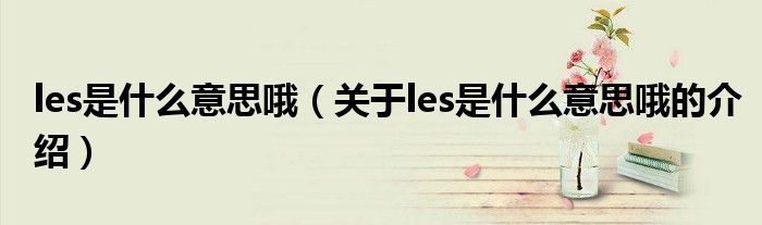 les是什么意思哦（关于les是什么意思哦的介绍）