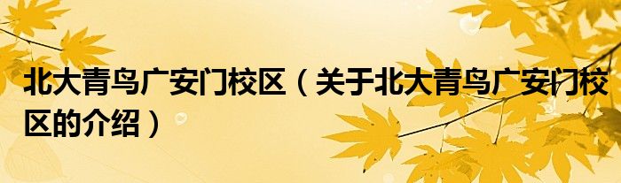 北大青鸟广安门校区（关于北大青鸟广安门校区的介绍）