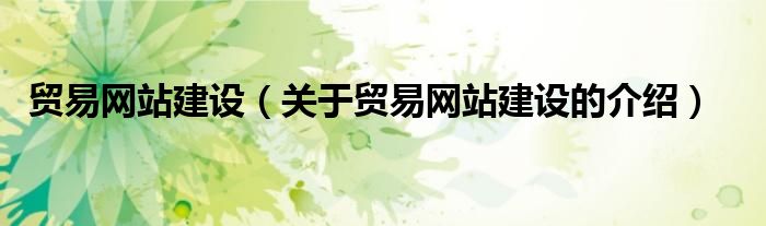 贸易网站建设（关于贸易网站建设的介绍）