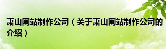 萧山网站制作公司（关于萧山网站制作公司的介绍）