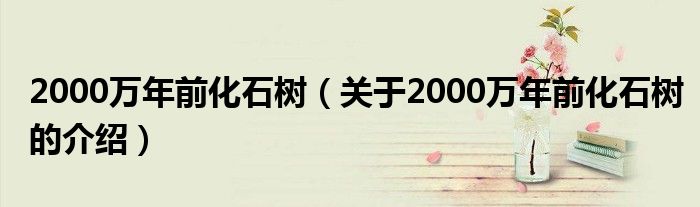 2000万年前化石树（关于2000万年前化石树的介绍）