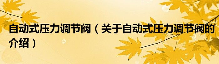 自动式压力调节阀（关于自动式压力调节阀的介绍）