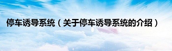 停车诱导系统（关于停车诱导系统的介绍）