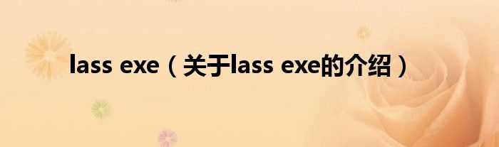 lass exe（关于lass exe的介绍）