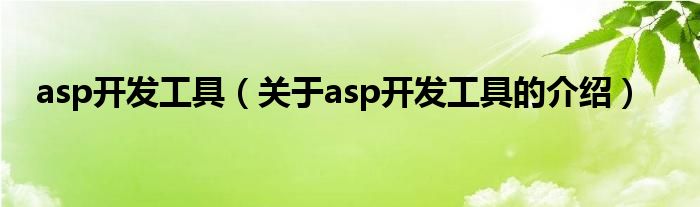 asp开发工具（关于asp开发工具的介绍）