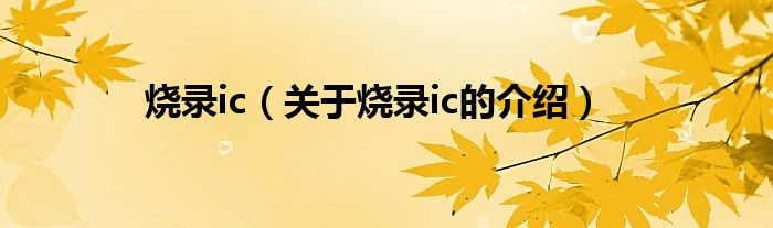 烧录ic（关于烧录ic的介绍）