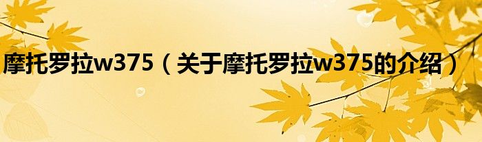 摩托罗拉w375（关于摩托罗拉w375的介绍）