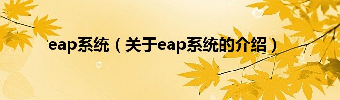 eap系统（关于eap系统的介绍）