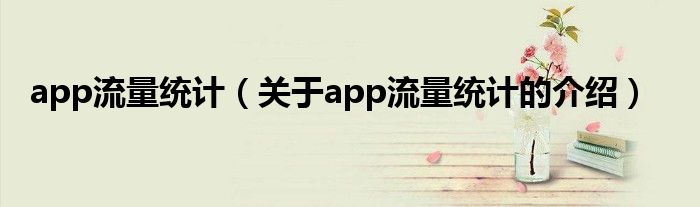 app流量统计（关于app流量统计的介绍）