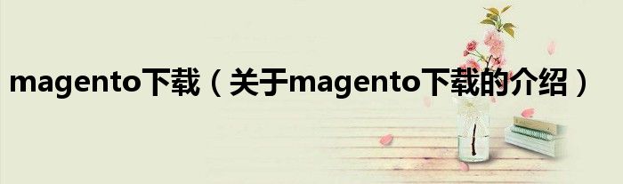 magento下载（关于magento下载的介绍）