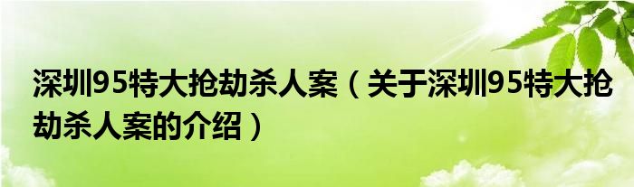 深圳95特大抢劫杀人案（关于深圳95特大抢劫杀人案的介绍）