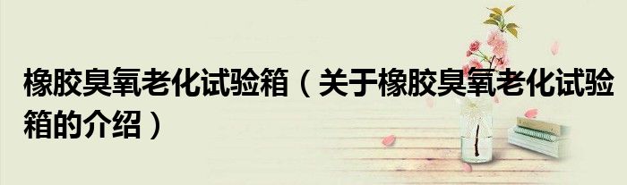 橡胶臭氧老化试验箱（关于橡胶臭氧老化试验箱的介绍）