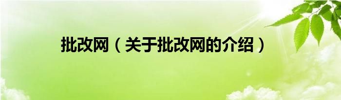 批改网（关于批改网的介绍）