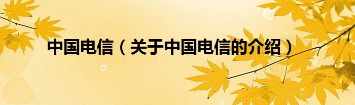 中国电信（关于中国电信的介绍）
