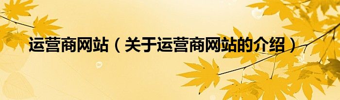 运营商网站（关于运营商网站的介绍）