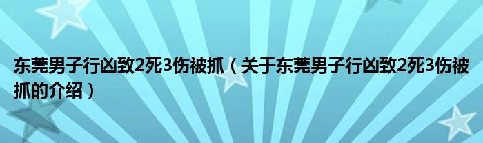 东莞男子行凶致2死3伤被抓（关于东莞男子行凶致2死3伤被抓的介绍）