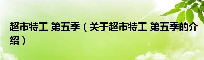 超市特工 第五季（关于超市特工 第五季的介绍）