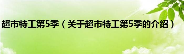 超市特工第5季（关于超市特工第5季的介绍）