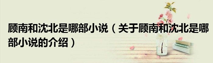 顾南和沈北是哪部小说（关于顾南和沈北是哪部小说的介绍）