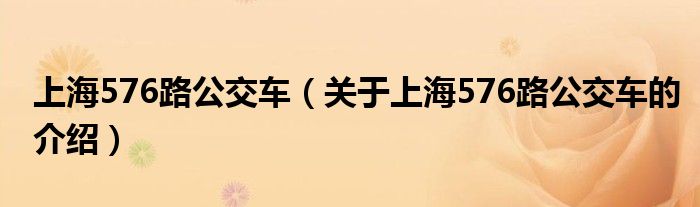 上海576路公交车（关于上海576路公交车的介绍）