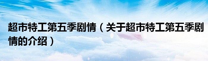 超市特工第五季剧情（关于超市特工第五季剧情的介绍）
