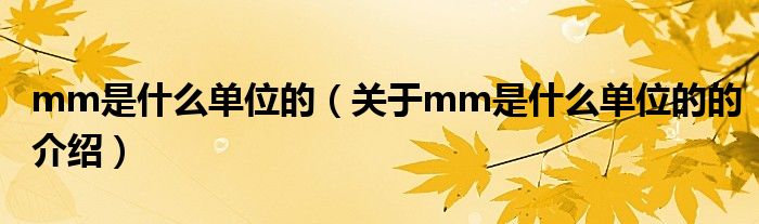 mm是什么单位的（关于mm是什么单位的的介绍）