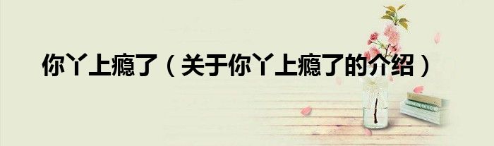 你丫上瘾了（关于你丫上瘾了的介绍）