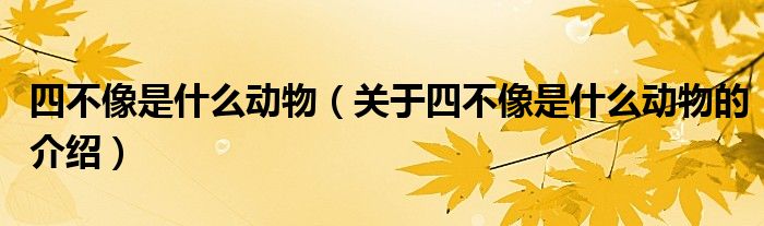 四不像是什么动物（关于四不像是什么动物的介绍）