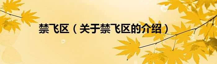 禁飞区（关于禁飞区的介绍）