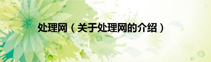处理网（关于处理网的介绍）