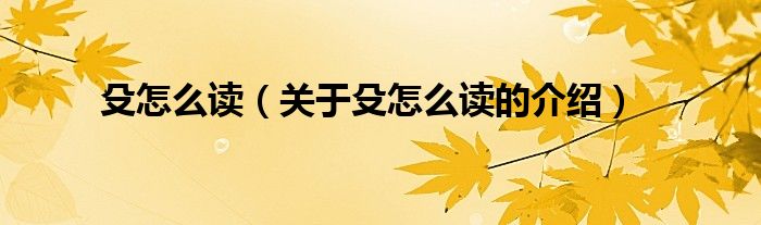 殳怎么读（关于殳怎么读的介绍）