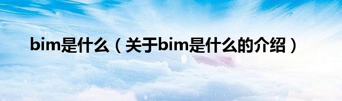 bim是什么（关于bim是什么的介绍）