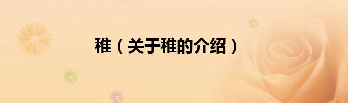 稚（关于稚的介绍）