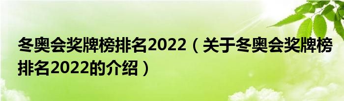 冬奥会奖牌榜排名2022（关于冬奥会奖牌榜排名2022的介绍）