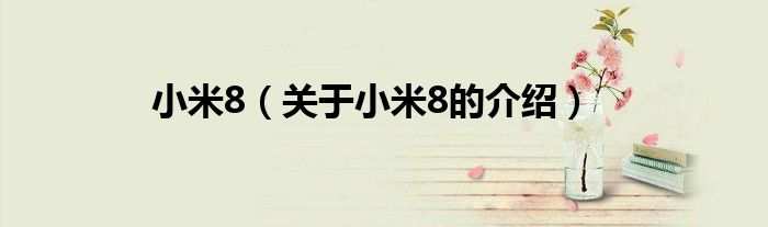 小米8（关于小米8的介绍）