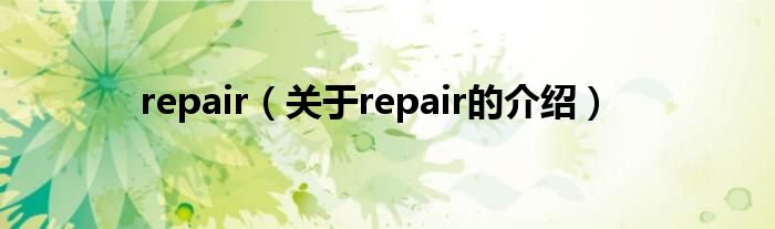 repair（关于repair的介绍）