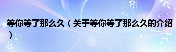 等你等了那么久（关于等你等了那么久的介绍）