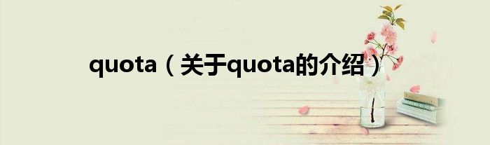 quota（关于quota的介绍）