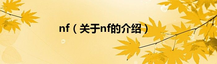 nf（关于nf的介绍）