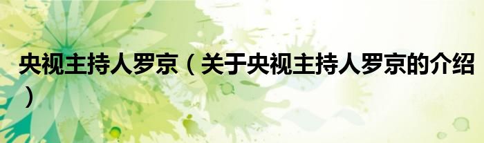 央视主持人罗京（关于央视主持人罗京的介绍）