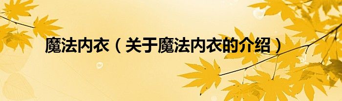魔法内衣（关于魔法内衣的介绍）