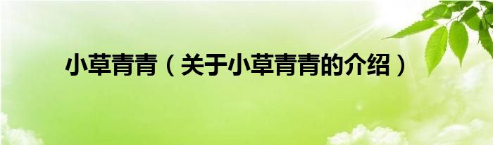 小草青青（关于小草青青的介绍）