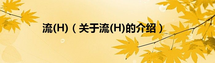 流(H)（关于流(H)的介绍）