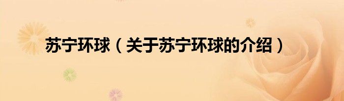 苏宁环球（关于苏宁环球的介绍）