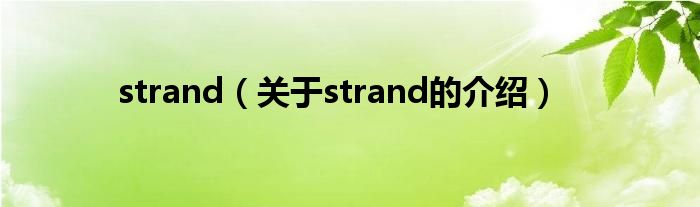 strand（关于strand的介绍）