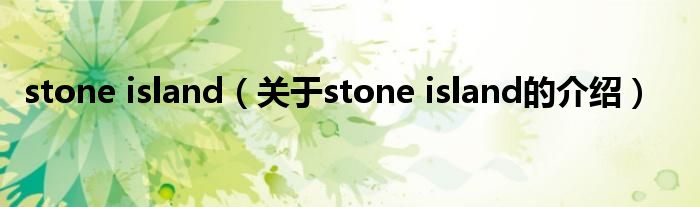 stone island（关于stone island的介绍）