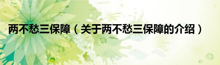 两不愁三保障（关于两不愁三保障的介绍）